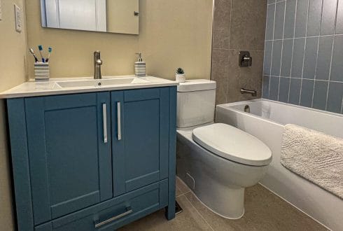 Quality Bathroom Update in Orléans